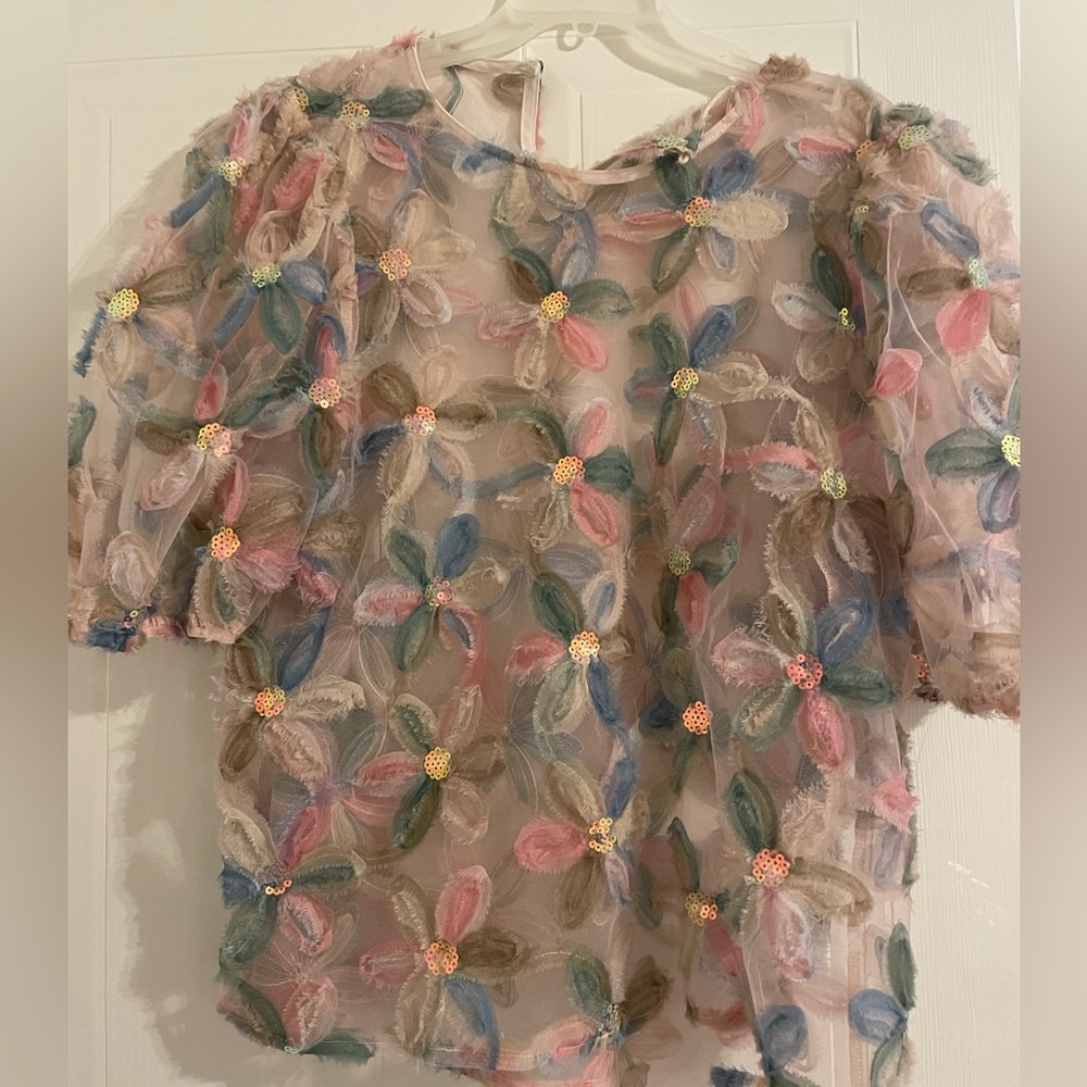 Elegant Floral Sheer Blouse with Embroidery